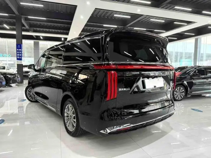 Wey Gaoshan P HEV 2025 Model 4WD Wey Gaoshan 9 – фото 4