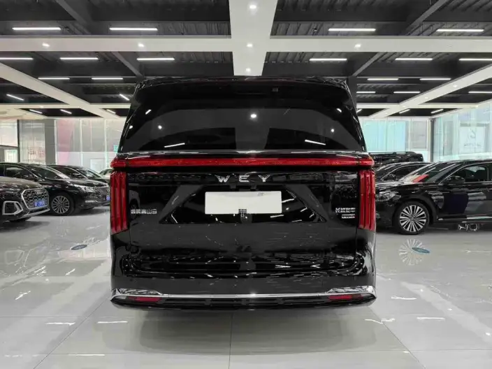 Wey Gaoshan P HEV 2025 Model 4WD Wey Gaoshan 9 – фото 5