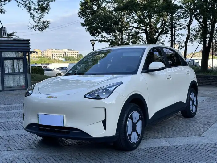 Geely Galaxy StarWish 2025 Model 310km Youth Edition – фото 1