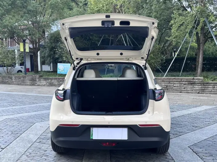Geely Galaxy StarWish 2025 Model 310km Youth Edition – фото 10