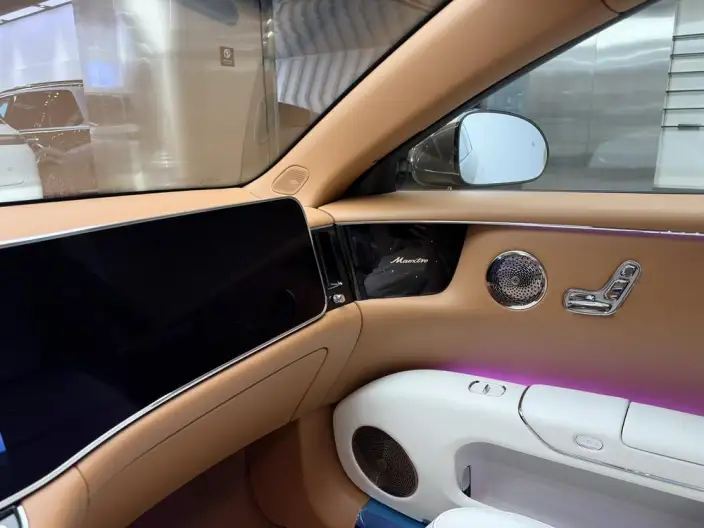 Zunjie S800 2025 Model Extended Range Starlight Executive Edition 4 seat – фото 10