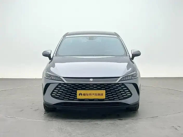 BYD Qin PLUS DM 2025 Model Smart Driving Edition DM-i 55KM Leading Model – фото 2