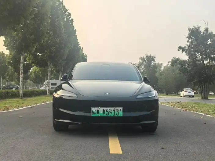 Model 3 2023 Model Rear-wheel drive version – фото 2