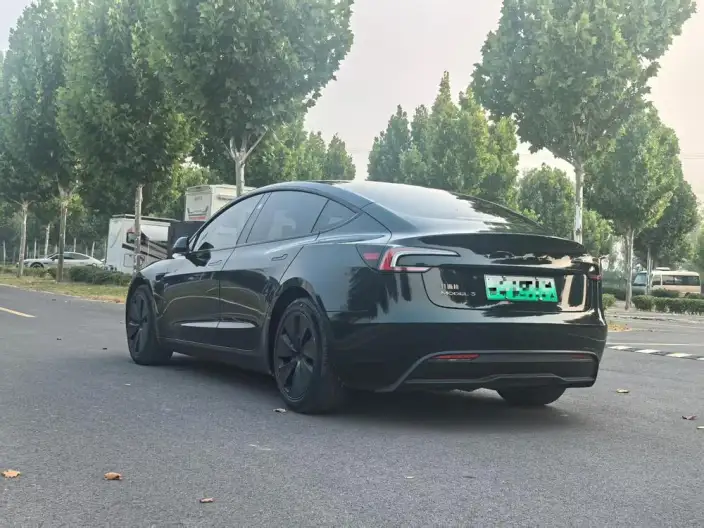 Model 3 2023 Model Rear-wheel drive version – фото 4
