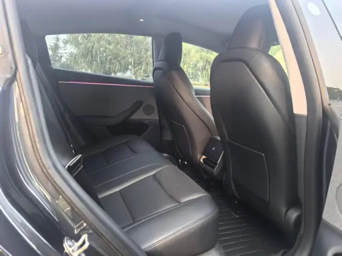 Model 3 2023 Model Rear-wheel drive version – фото 9