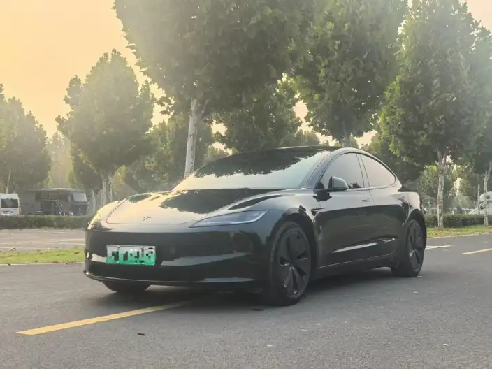 Model 3 2023 Model Rear-wheel drive version – фото 10