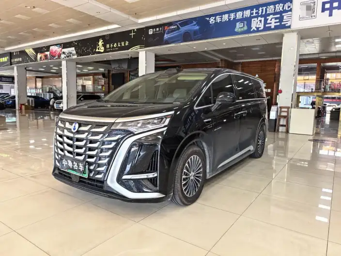 DENZA D9 DM 2025 Model Smart Driving Edition 1020 4WD Flagship Model – фото 1