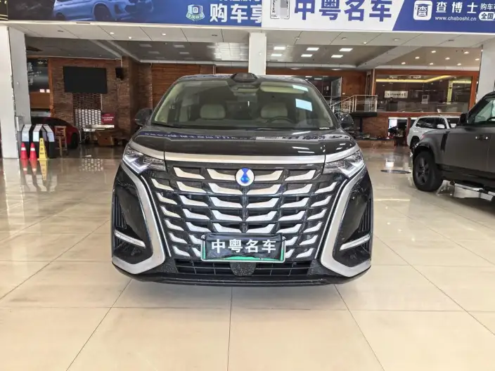 DENZA D9 DM 2025 Model Smart Driving Edition 1020 4WD Flagship Model – фото 2