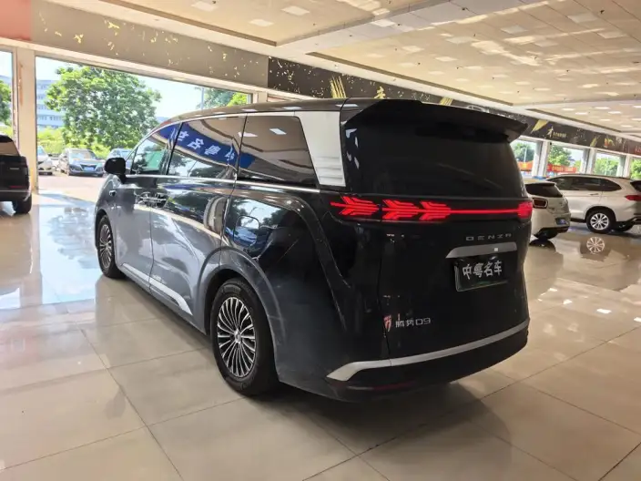 DENZA D9 DM 2025 Model Smart Driving Edition 1020 4WD Flagship Model – фото 4