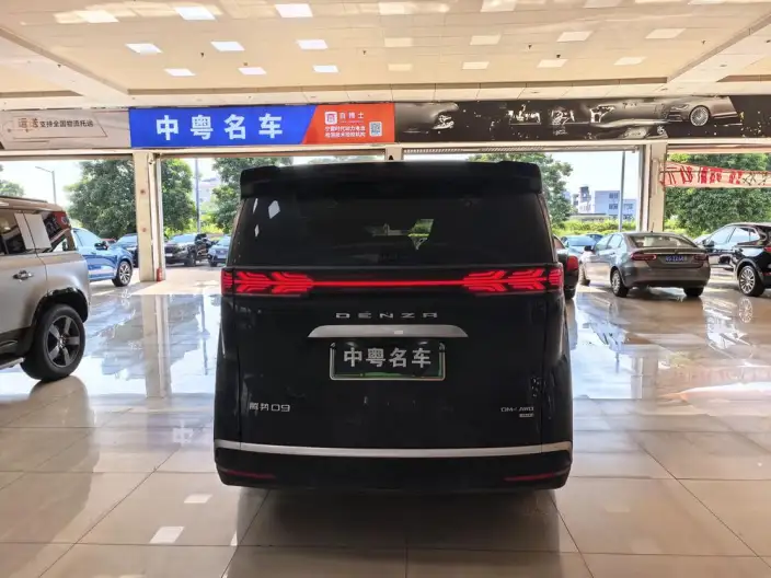 DENZA D9 DM 2025 Model Smart Driving Edition 1020 4WD Flagship Model – фото 5