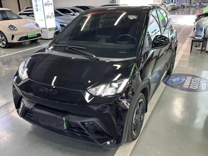 BYD Seagull 2024 Model Honor Edition 405KM Feixiang Edition – фото 1