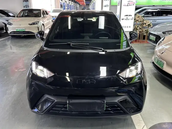 BYD Seagull 2024 Model Honor Edition 405KM Feixiang Edition – фото 2