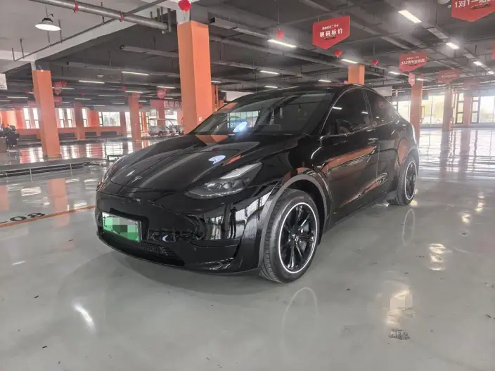 Model Y 2023 Model Rear-wheel drive version – фото 1