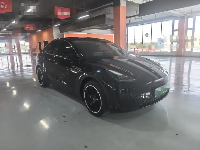 Model Y 2023 Model Rear-wheel drive version – фото 3