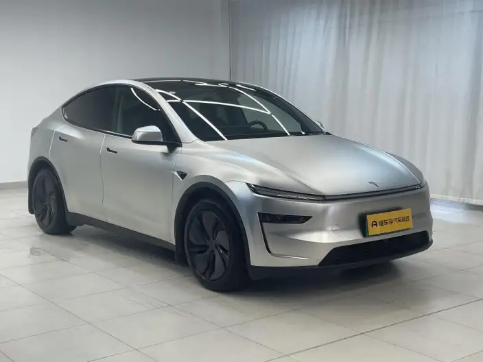 Model Y 2025 Model Rear-wheel drive version – фото 3