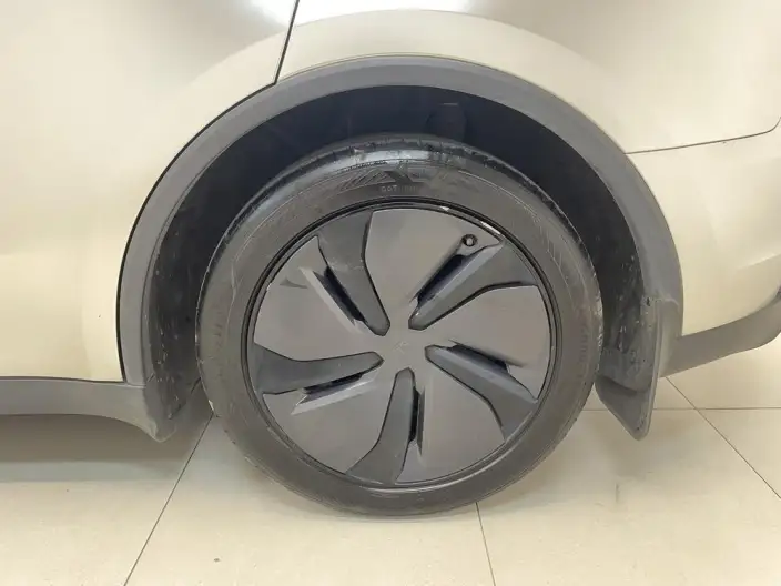 Model Y 2025 Model Rear-wheel drive version – фото 9