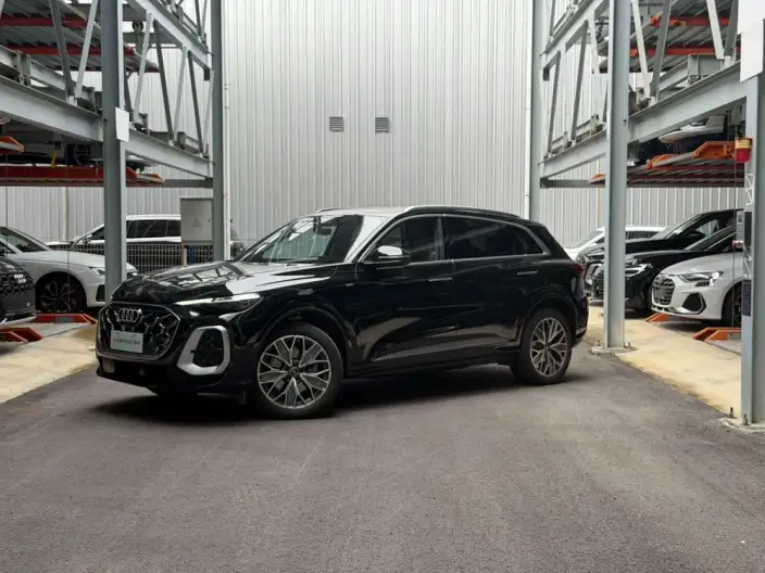 Audi Q5L 2026 Model 2.0T 10M Users Edition Edition – фото 1
