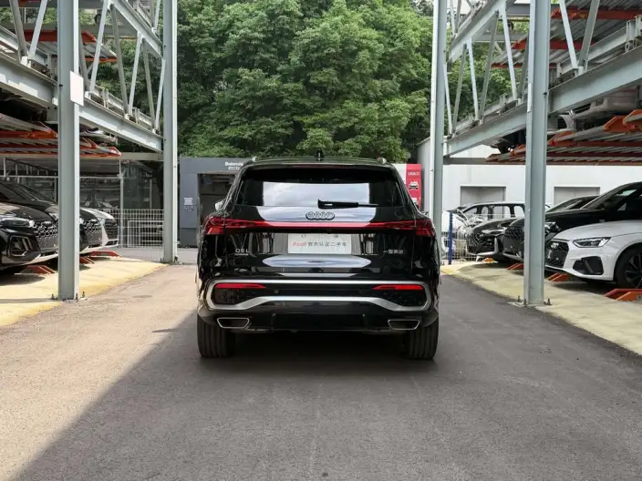 Audi Q5L 2026 Model 2.0T 10M Users Edition Edition – фото 4