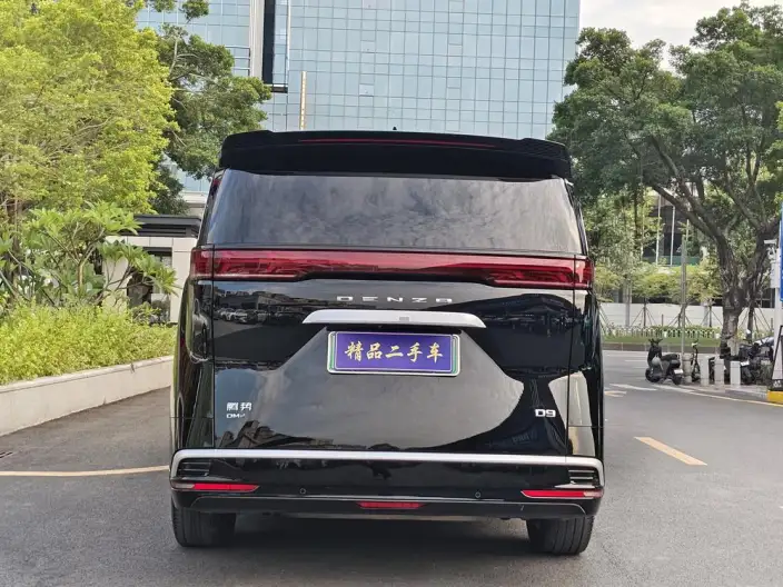 DENZA D9 DM 2022 Model 945 Luxury Model – фото 6