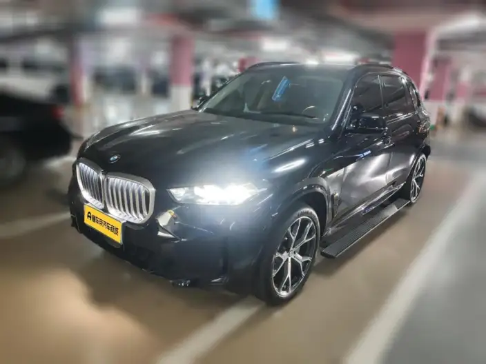 BMW X5 2023 Model xDrive30Li Exclusive Model M Sports Night Set – фото 1