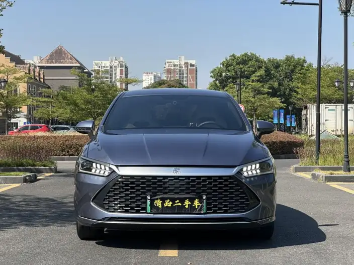 BYD Qin PLUS DM 2024 Model Honor Edition DM-i 55KM Leading Model – фото 2
