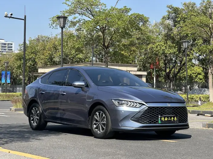 BYD Qin PLUS DM 2024 Model Honor Edition DM-i 55KM Leading Model – фото 3