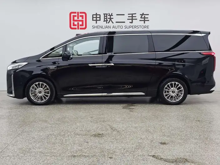 Wey Gaoshan P HEV 2025 Model 4WD Wey Gaoshan 9 – фото 3