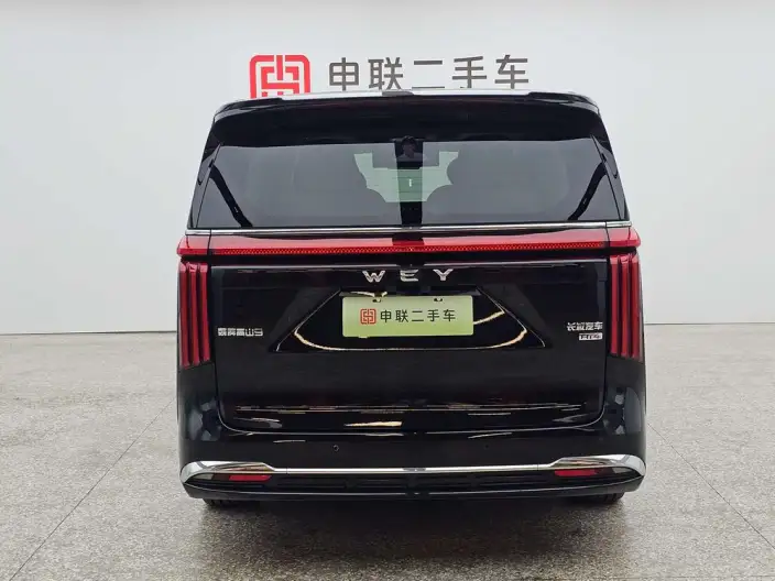 Wey Gaoshan P HEV 2025 Model 4WD Wey Gaoshan 9 – фото 5