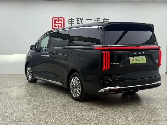 Wey Gaoshan P HEV 2025 Model 4WD Wey Gaoshan 9 – фото 4