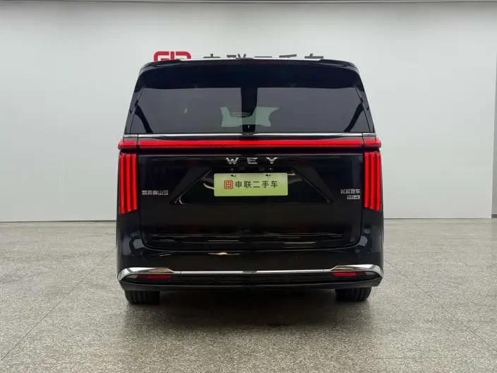 Wey Gaoshan P HEV 2025 Model 4WD Wey Gaoshan 9 – фото 5