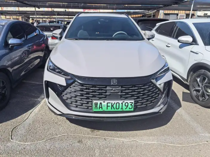 BYD Tang DM 2025 Model DM-i 115KM Flagship Model – фото 2