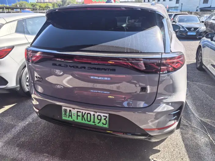 BYD Tang DM 2025 Model DM-i 115KM Flagship Model – фото 5