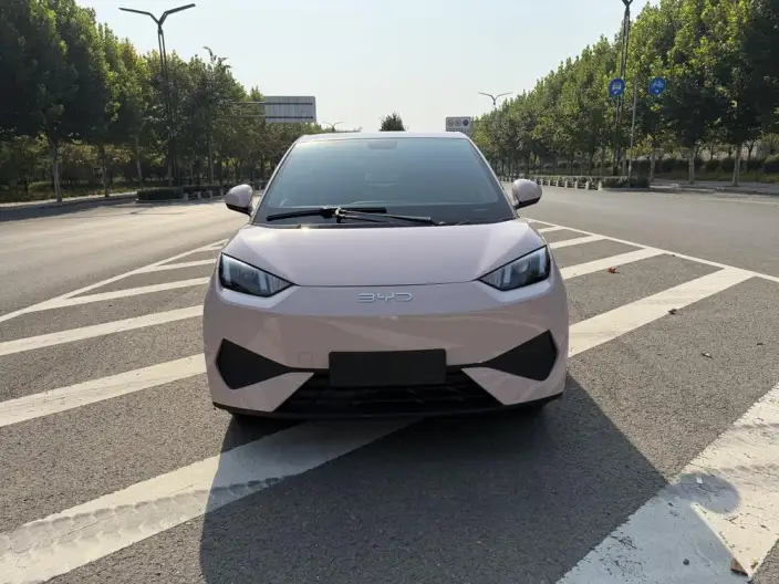 BYD Seagull 2025 Model 305KM Vitality Edition – фото 2
