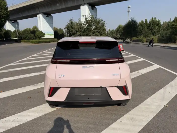 BYD Seagull 2025 Model 305KM Vitality Edition – фото 5