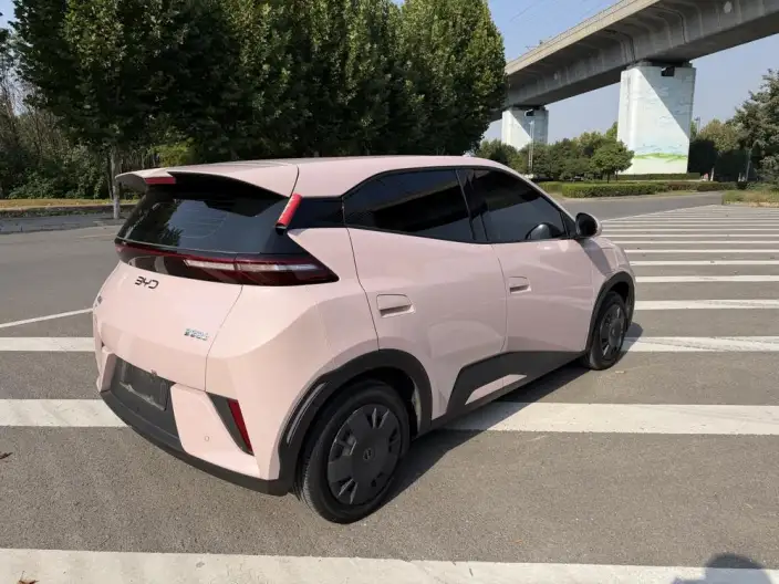 BYD Seagull 2025 Model 305KM Vitality Edition – фото 6