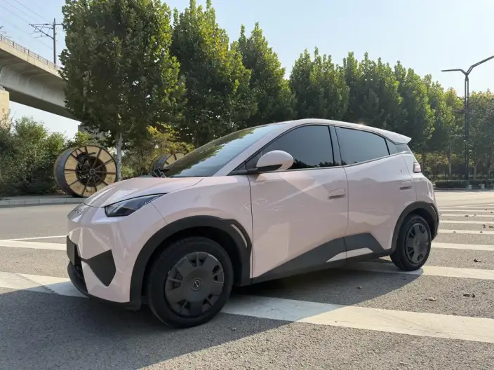 BYD Seagull 2025 Model 305KM Vitality Edition – фото 10