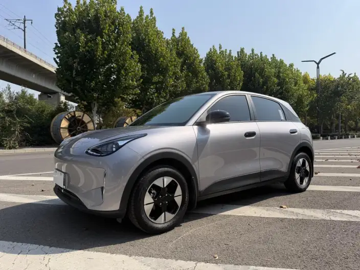 Geely Galaxy StarWish 2025 Model 310km Youth Edition – фото 1