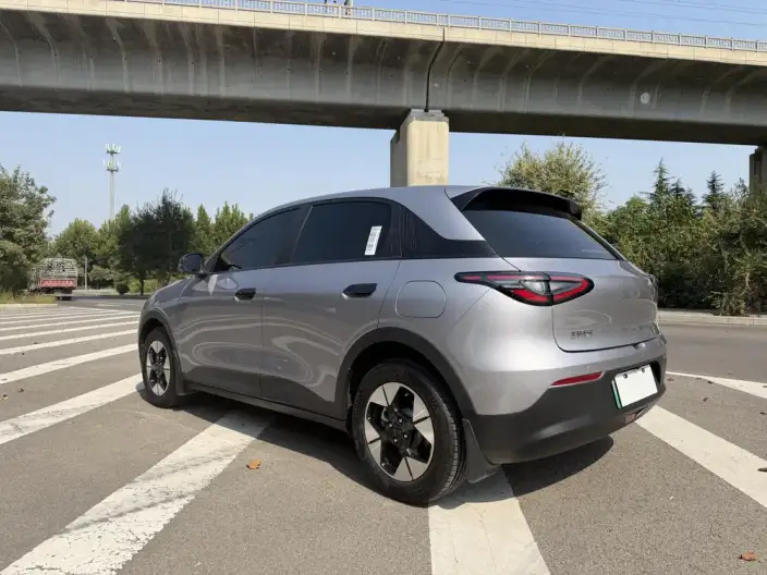 Geely Galaxy StarWish 2025 Model 310km Youth Edition – фото 4