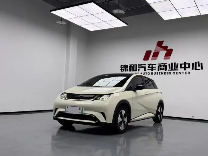 BYD Dolphin 2023 Model Fashion Edition – фото 1