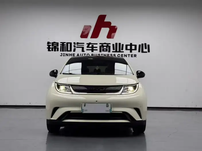 BYD Dolphin 2023 Model Fashion Edition – фото 2