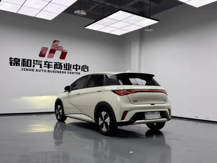 BYD Dolphin 2023 Model Fashion Edition – фото 4