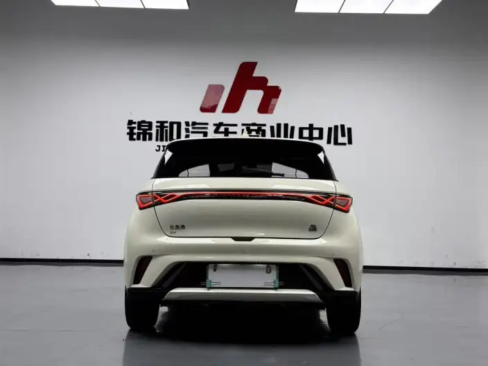 BYD Dolphin 2023 Model Fashion Edition – фото 5