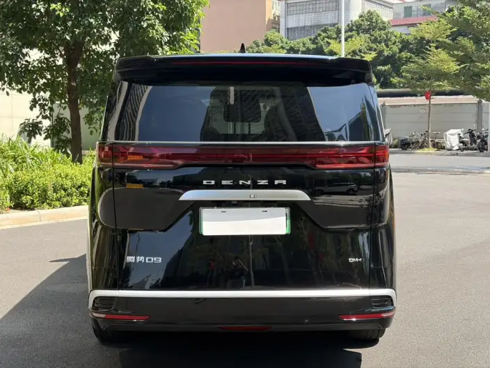 DENZA D9 DM 2024 Model 970 Luxury Model – фото 5