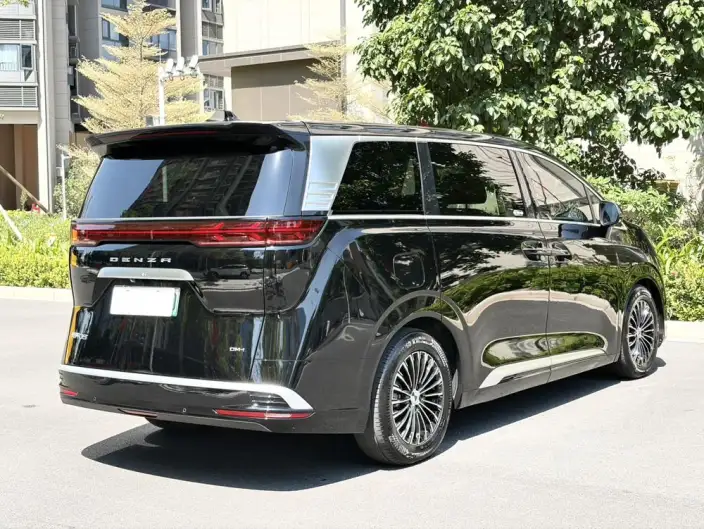 DENZA D9 DM 2024 Model 970 Luxury Model – фото 6
