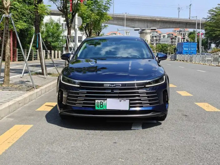 BYD Destroyer 05 2024 Model Honor Edition DM-i 55KM Luxury Model – фото 2