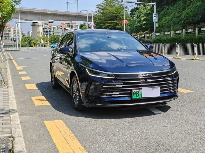 BYD Destroyer 05 2024 Model Honor Edition DM-i 55KM Luxury Model – фото 3