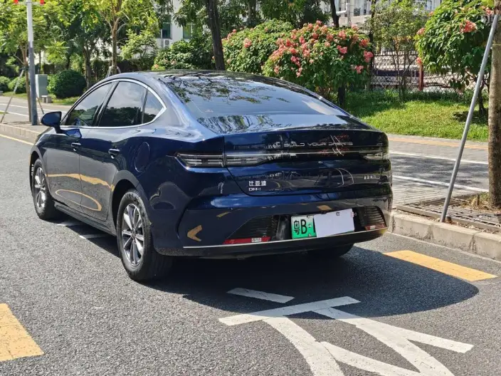 BYD Destroyer 05 2024 Model Honor Edition DM-i 55KM Luxury Model – фото 4