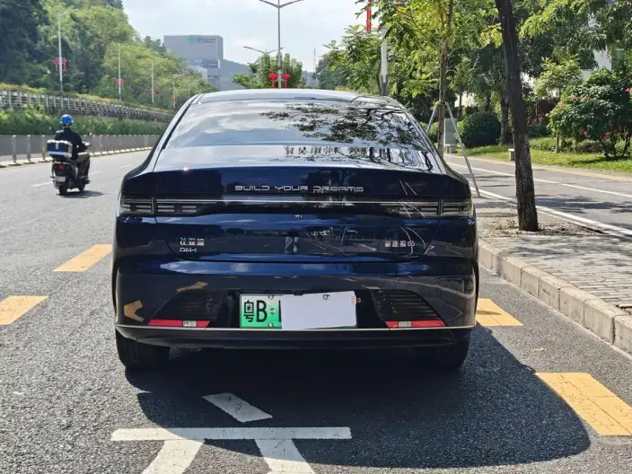 BYD Destroyer 05 2024 Model Honor Edition DM-i 55KM Luxury Model – фото 5
