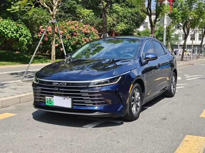 BYD Destroyer 05 2024 Model Honor Edition DM-i 55KM Luxury Model – фото 10