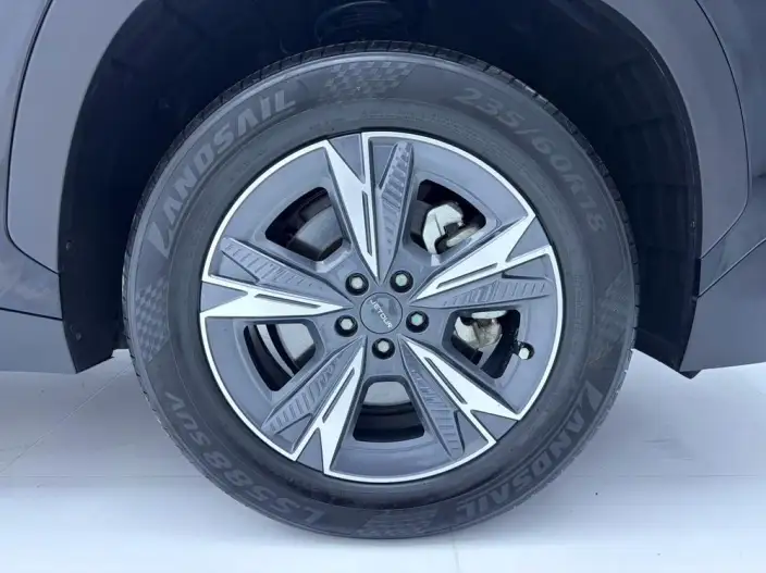 Jetour Dasheng 2023 Model 1.5T DCT Star Edition PRO – фото 7